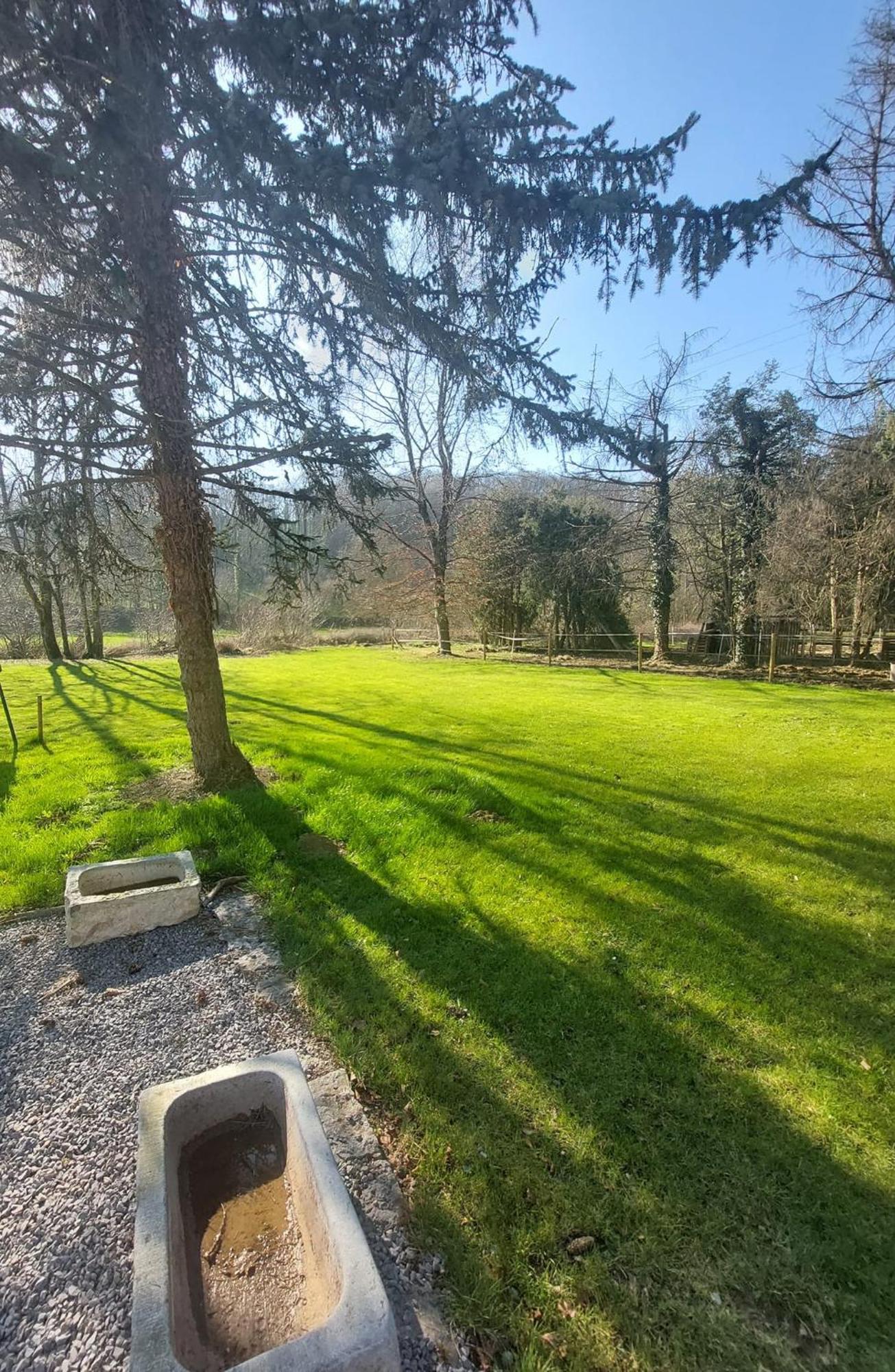 Au Doux Chardon Bed & Breakfast Durbuy Dış mekan fotoğraf